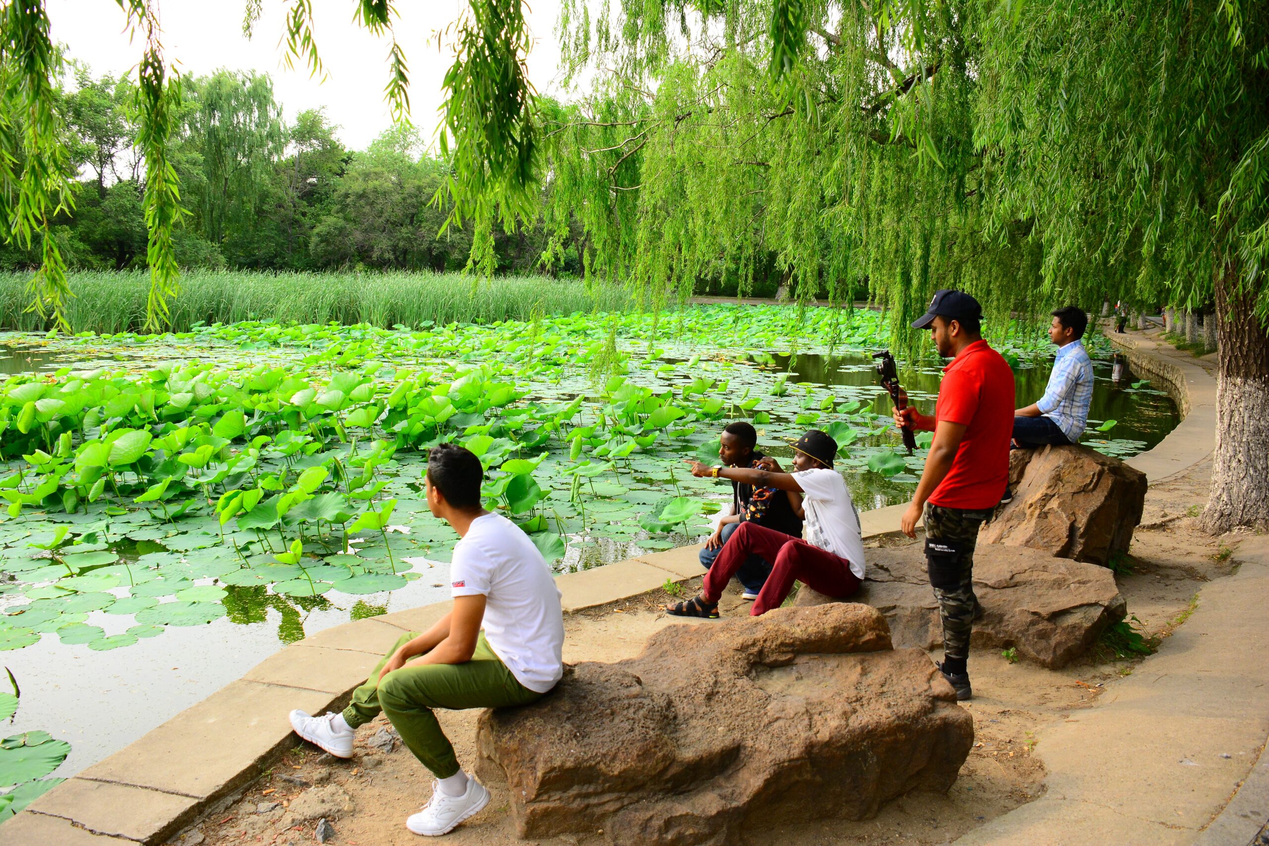 Muhammad Imdadul Haque; Imdadul Haque; MI HAQUE in Shenyang Beiling Park